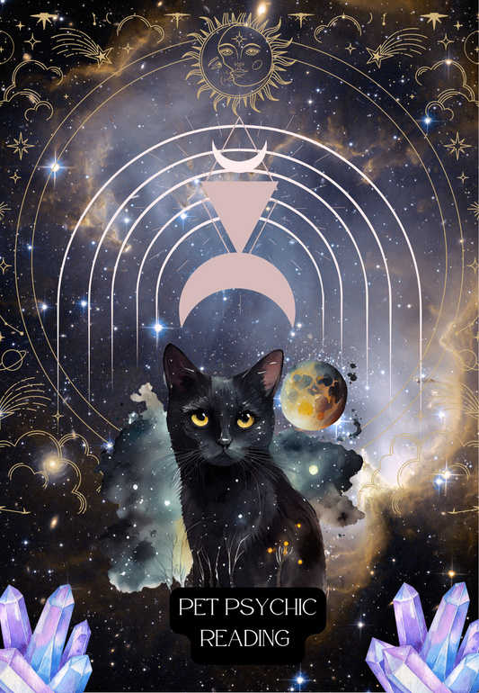 Paws & Souls ~ Pet Psychic Reading